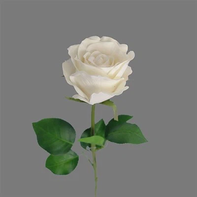 گل ساخته شده از پارچه طبیعی لمسی