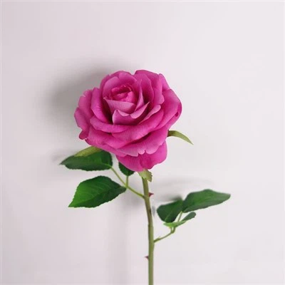 لمس طبیعی ساقه گل