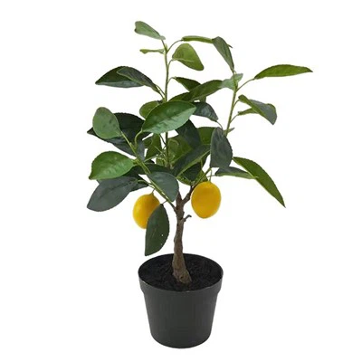 10 تامین کننده برتر میوه های مصنوعی در جهان