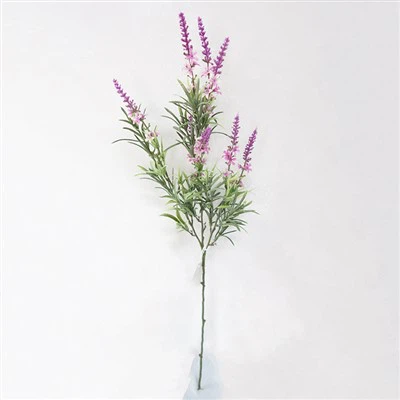 ساقه گل مقاوم در برابر اشعه ماوراء بنفش